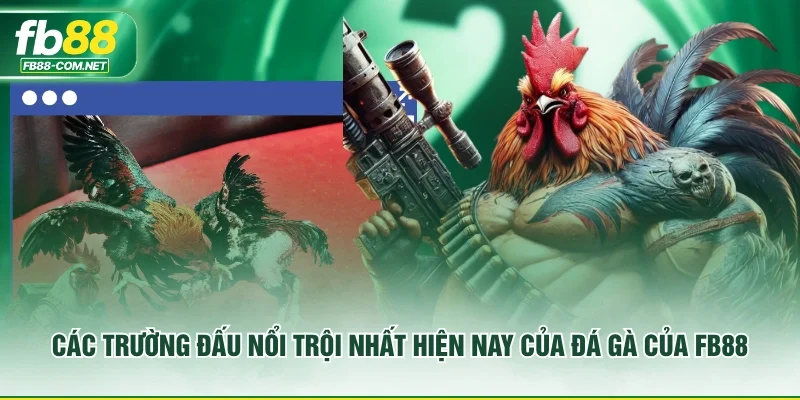 Các trường đấu nổi trội nhất hiện nay của đá gà của FB88