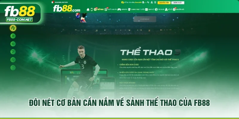Đôi nét cơ bản cần nắm về sảnh thể thao của FB88