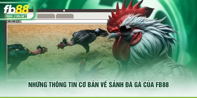 Những thông tin cơ bản về sảnh đá gà của FB88